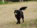 tn_dsc00006.JPG