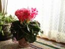 20081212002.JPG