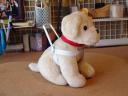 GuideDog-2