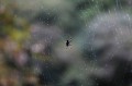 渓水工房-2