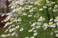 20120425_002