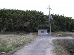 散歩道-1