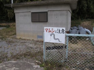 散歩道-2