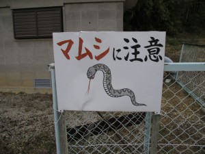 散歩道-3
