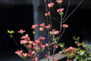 20130421001